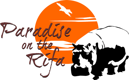 Hippo Paradise Logo